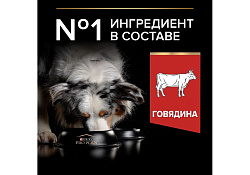 PRO PLAN DUO DELICE Сухой корм ПРО ПЛАН для взрослых собак средних и крупных пород с говядиной 10 кг PRO PLAN DUO DELICE Сухой корм ПРО ПЛАН для взрослых собак средних и крупных пород с говядиной 10 кг