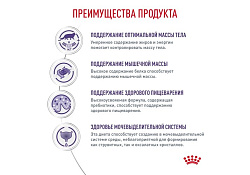 Royal Canin Neutered Maintenance Ветеринарный влажный корм (Консервы-Паучи) Роял Канин Ньютеред Мэйнтенэнс для Взрослых Кастрированных котов и Стерилизованных кошек в Соусе (цена за упаковку) 85г х 28шт