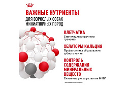 Royal Canin X-Small Adult Сухой корм Роял Канин Икс-Смолл Эдалт для Взрослых собак мелких пород 500 г Royal Canin X-Small Adult Сухой корм Роял Канин Икс-Смолл Эдалт для Взрослых собак мелких пород 500 г