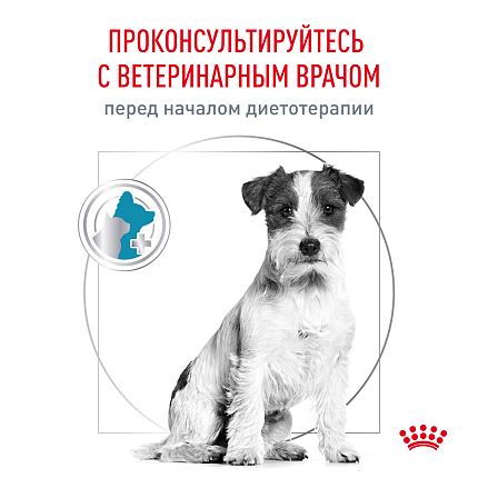 Сухой корм Royal Canin HYPOALLERGENIC SMALL DOGS (ГИПОАЛЛЕРДЖЕНИК СМОЛ ДОГЗ) 3.5 кг