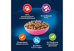 FELIX ДВОЙНАЯ ВКУСНЯТИНА Сухой корм Пурина Феликс для котят с курицей 600 г FELIX ДВОЙНАЯ ВКУСНЯТИНА Сухой корм Пурина Феликс для котят с курицей 600 г