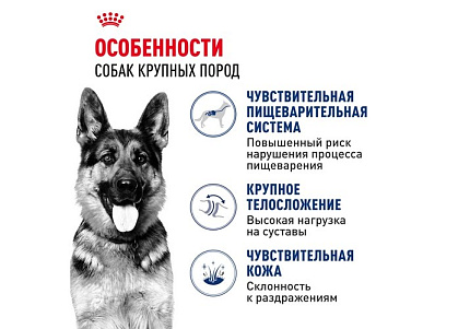Royal Canin Maxi Adult Сухой корм Роял Канин Макси Эдалт для Взрослых собак Крупных пород в возрасте от 15 месяцев до 5 лет 15 кг