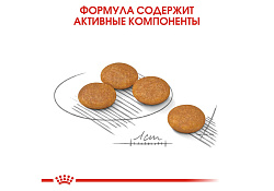 Royal Canin Mini Dermacomfort Сухой корм Роял Канин Мини Дермакомфорт для собак Мелких пород с Кожным раздражением и зудом 3 кг Royal Canin Mini Dermacomfort Сухой корм Роял Канин Мини Дермакомфорт для собак Мелких пород с Кожным раздражением и зудом 3 кг