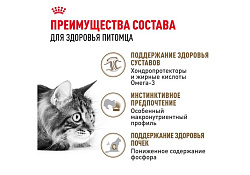 Royal Canin Ageing 12+ Sause Влажный корм (Консервы-Паучи) Роял Канин Эйжинг для Пожилых кошек старше 12 лет в Соусе (цена за упаковку) 85г х 28шт