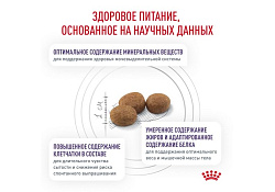 Royal Canin Neutered Satiety Balance Ветеринарный сухой корм Роял Канин Ньютеред Сетаети Бэланс для взрослых Кастрированных котов и Стерилизованных кошек с момента стерилизации и до 7 лет 1,5 кг