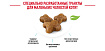 Royal Canin Kitten Корм сухой сбалансированный для котят в период второй фазы роста до 12 месяцев, 10 кг
