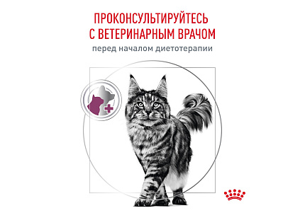 Royal Canin Renal RF23 Ветеринарный сухой корм Роял Канин Ренал для кошек Заболевание почек (хроническая почечная недостаточность) 350 г
