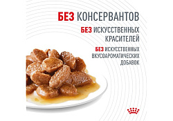 Royal Canin Digestive Care Влажный корм (Консервы-Паучи) Роял Канин Дайджестив Кэа для кошек с Чувствительным пищеварением в Соусе (цена за упаковку) 85г х 28шт