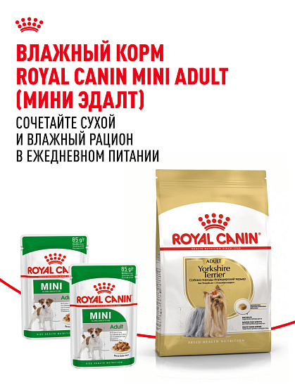 Royal Canin Yorkshire Terrier Adult Корм сухой для взрослых собак породы Йоркширский Терьер от 10 месяцев, 3 кг