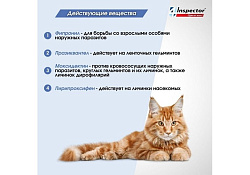Inspector Quadro К Капли Инспектор от Внешних и Внутренних паразитов для кошек весом от 1 до 4 кг 1 шт