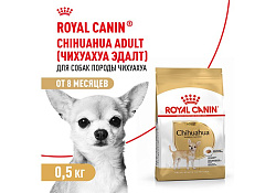 Royal Canin Breed dog Chihuahua Adult Сухой корм Роял Канин для взрослых собак породы Чихуахуа старше 8 месяцев 500 г Royal Canin Breed dog Chihuahua Adult Сухой корм Роял Канин для взрослых собак породы Чихуахуа старше 8 месяцев 500 г