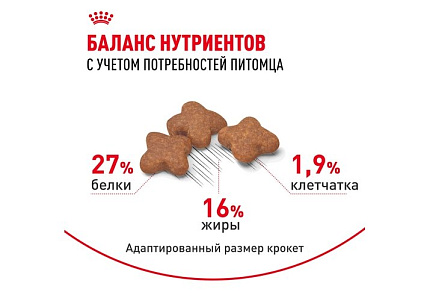 Royal Canin Mini Adult 8+ Сухой корм Роял Канин Мини для Пожилых собак Мелких пород старше 8 лет 4 кг