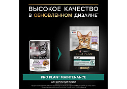 PRO PLAN ADULT Влажный корм Паучи ПРО ПЛАН для взрослых кошек с индейкой в желе (цена за упаковку) 85г х 26шт PRO PLAN ADULT Влажный корм Паучи ПРО ПЛАН для взрослых кошек с индейкой в желе (цена за упаковку) 85г х 26шт