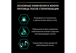 PRO PLAN Sterilised MAINTENANCE Влажный корм Паучи ПРО ПЛАН (Поддержание естественной защиты организма) для взрослых стерилизованных кошек и кастрированных котов с индейкой в соусе (цена за упаковку) 85г х 26шт PRO PLAN Sterilised MAINTENANCE Влажный корм Паучи ПРО ПЛАН (Поддержание естественной защиты организма) для взрослых стерилизованных кошек и кастрированных котов с индейкой в соусе (цена за упаковку) 85г х 26шт