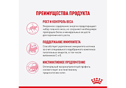Royal Canin Kitten Sterilised Jelly Влажный корм (Консервы-Паучи) Роял Канин Киттен Стерилайзд для Стерилизованных Котят в возрасте от 6 до 12 месяцев в Желе (цена за упаковку) 85г х 28шт