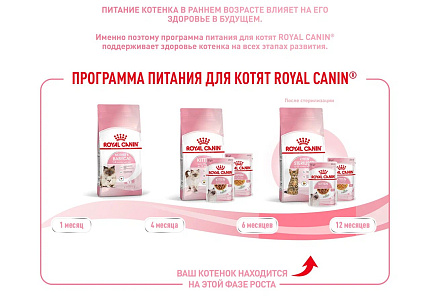 Royal Canin Kitten Sterilised Корм сухой сбалансированный для стерилизованных котят до 12 месяцев, 0,4 кг