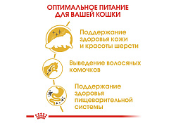 Royal Canin Breed cat Persian Сухой корм Роял Канин для Взрослых кошек Персидской породы старше 1 года 10 кг