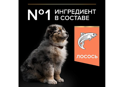 PRO PLAN OPTI DERMA Сухой корм ПРО ПЛАН для щенков средних пород при чувствительной коже с лососем 3 кг