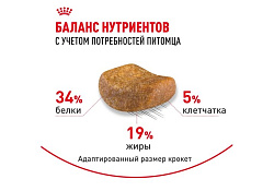 Royal Canin Breed cat British Shorthair Сухой корм Роял Канин для Взрослых кошек породы Британская короткошерстная 2 кг