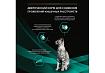 PRO PLAN VETERINARY DIETS EN ST\OX GASTROINTESTINAL Лечебный Влажный корм Паучи ПРО ПЛАН Ветеринарная диета при расстройствах пищеварения с Лососем (цена за упаковку) 85г х 26шт