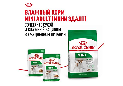 Royal Canin Mini Adult 8+ Сухой корм Роял Канин Мини для Пожилых собак Мелких пород старше 8 лет 4 кг