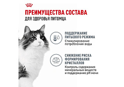 Royal Canin Urinary Care Sause Влажный корм (Консервы-Паучи) Роял Канин Уринари Кэа для кошек Профилактика Мочекаменных болезней в Соусе (цена за упаковку) 85г х 28шт