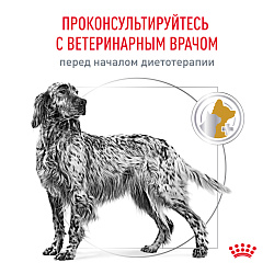 Royal Canin Urinary S/O Корм сухой для взрослых собак при мочекаменной болезни и цистите. Ветеринарная диета, 13 кг.