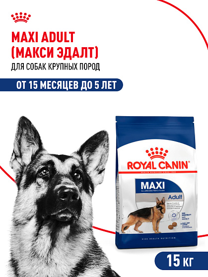 Royal Canin Maxi Adult Корм сухой для взрослых собак крупных размеров от 15 месяцев до 5 лет, 15 кг