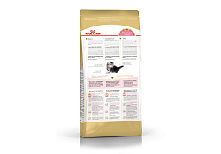 Royal Canin Breed cat Kitten Persian Сухой корм Роял Канин для Котят Персидской породы в возрасте от 4 до 12 месяцев 2 кг